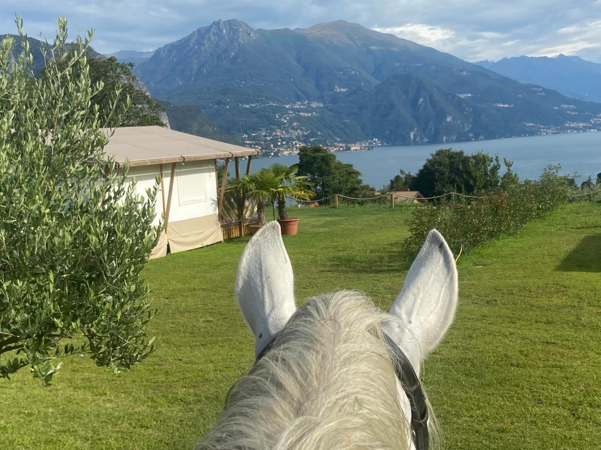 Luxury Lodge Μπελάτζιο Εξωτερικό φωτογραφία